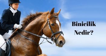 Binicilik Nedir? Binicilik Tarihi